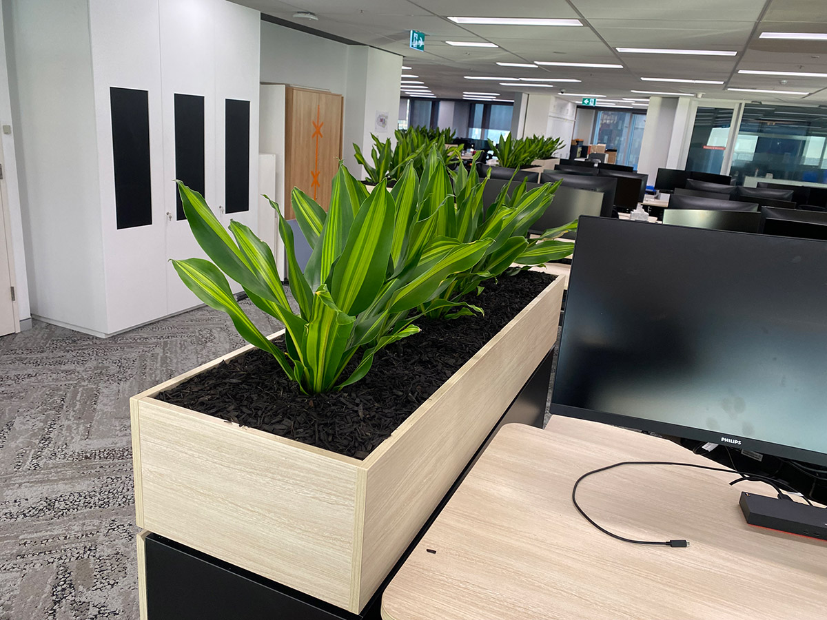 Custom-joinery-&-tambour-custom-joinery-in-sydney-office - Gaddys 